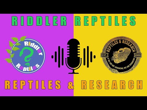 REPTILES AND RESEARCH LIVE Q&A