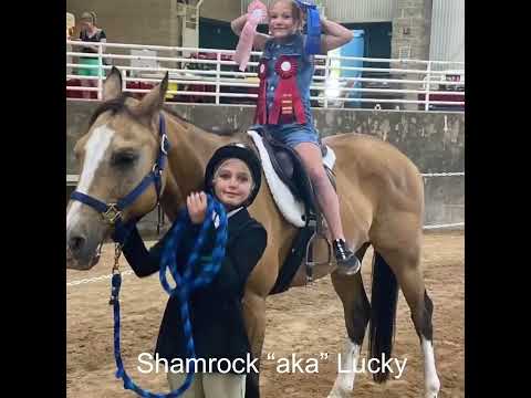 (SOLD) Shamrock “aka” Lucky
