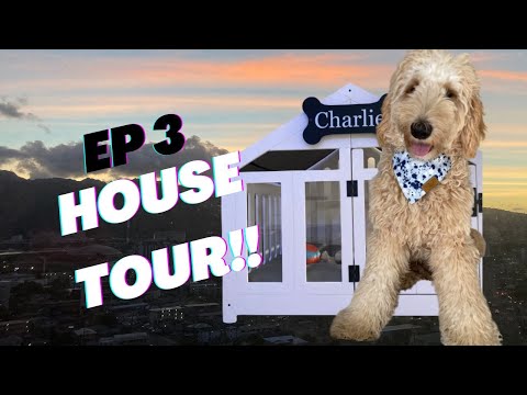 HOUSE TOUR: Ep 3