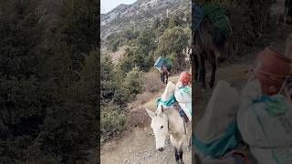 #ytshorts #mountainlifestyle