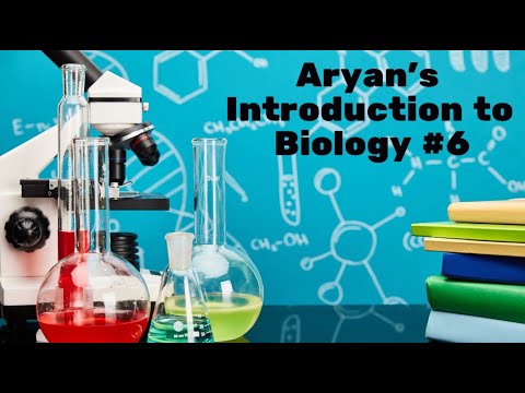 Introduction to Biology: Photosynthesis