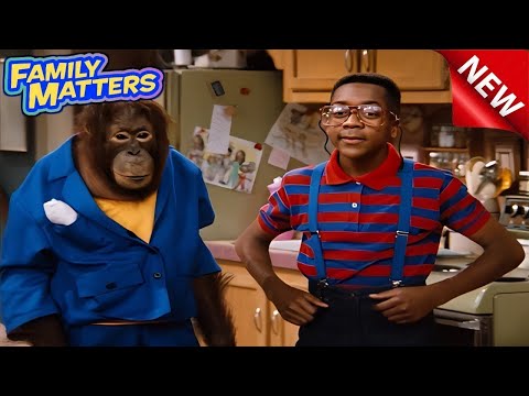 Family Matters 2024  💥💥💥 Ep125 + 126 Hell Toupee 💥💥💥 Funniest Comedy 2024