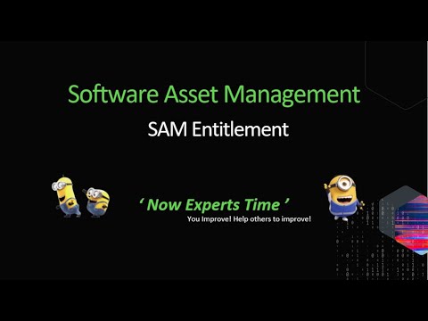 Part-2 ServiceNow SAM Entitlement