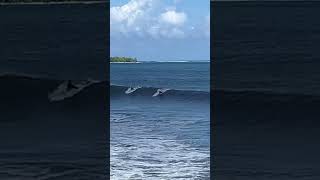 Chasing waves and learning to surf. #surf #travel #surfing #surfers #waves #learntosurf #surfboards