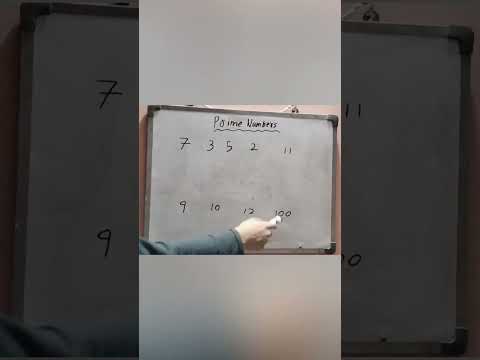 What are prime numbers