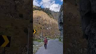 Himalayan Vibes                             #himalayanvibes #nature #natureandlife #naturelovers