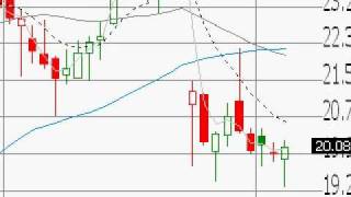 "Learn to Trade Stocks" Bull Stock Info 8 6 09