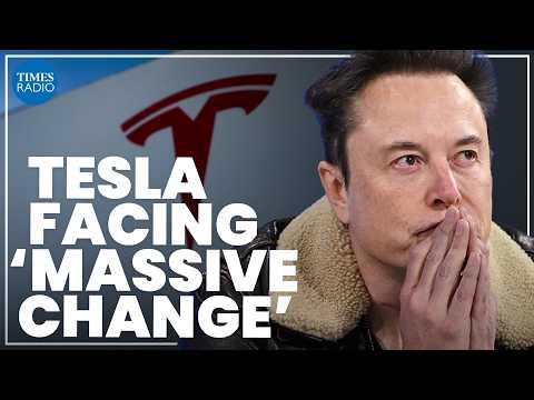 I told Musk to not get involved in politics | Tesla investor reveals impact of Trump fallout