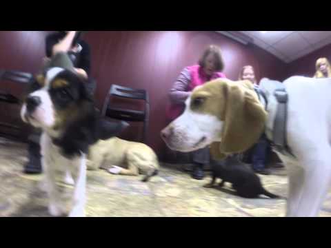 Riverfront Dog Training Puppy Class 2/2/2016