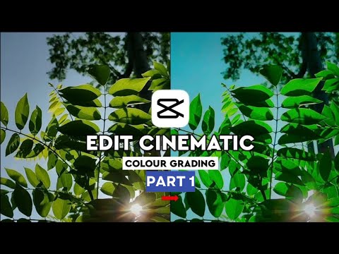 Master Colour Grading In Capcut | Cinematic Colour Grading Tutorial In Capcut |  editing | p4tips |