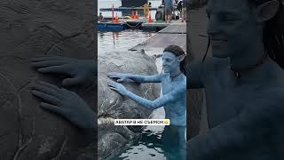 cinema    /Downtempo,chill,organic house,deep,ethno,ethnic