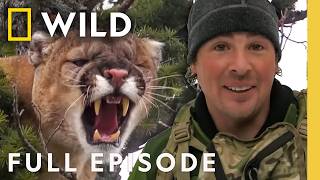 Stalking the Mountain Lion (Full Episode) | America the Wild | Nat Geo Animals
