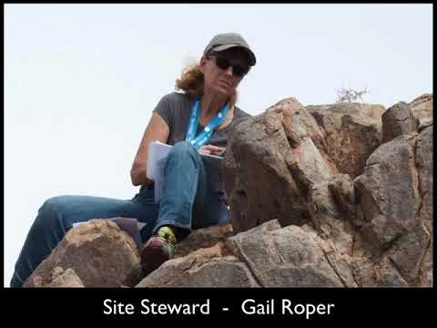 Gail Roper (Site Steward)