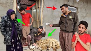 The necessary evidence in the handsofKubra and Muhammad to confront Ali:and the sorrow of sick sheep