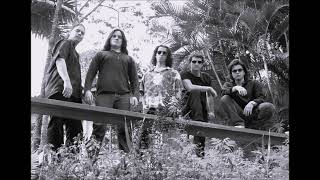 Firesign - Stormy Shadow