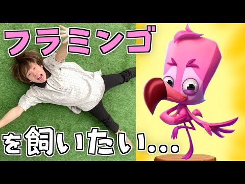 フラミンゴが可愛すぎるんですけど😭💕