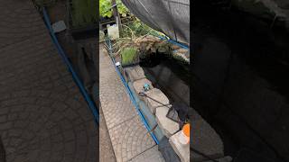 DIY Greenhouse Pond Biofilter #shorts