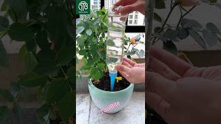 Easy DIY Drip Irrigation System | Automatic Plant Watering Hack #gardeninghacks #diytools