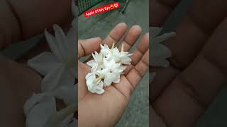 #morninghabit #walking