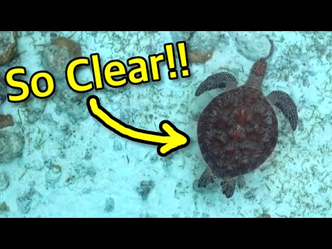 The CLEAREST Beach Water in The World! (Filmed using DJI Mavic 3 Cine in 4K HDR)