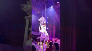 Celestial Strings show on Carnival Celebration