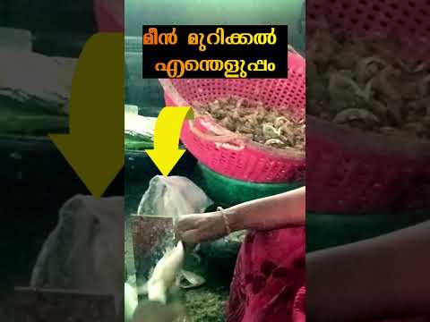 മീൻ മുറിക്കൽ ഇത്രയെളുപ്പമോ #tamil #novembervibes #travel #life