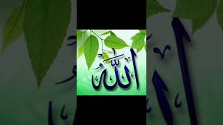 #Allah #fgc #shortvideo #djeditorberkelas