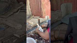 Fish cutting without skill