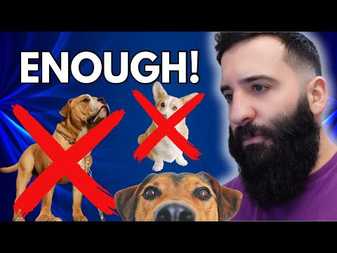 We should BAN keeping DOGS as PETS!