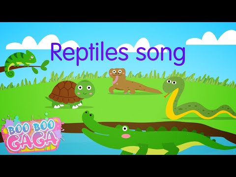 The Reptile Song for Kids [by Boo Boo Gaga] #booboogaga