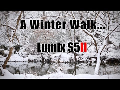 Snow Day with the Lumix S5II