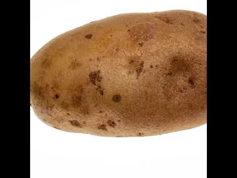 Potatosauce Live Stream