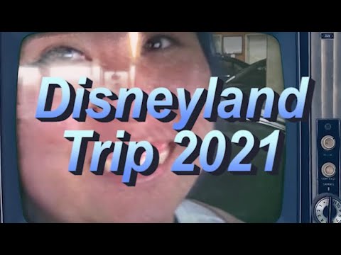 Retro/Home Video Vibes - Disneyland Trip 2021 #shorts