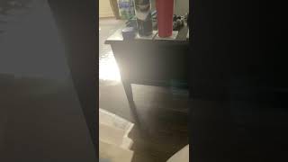 Photo saved. More harrassment from the skiszo couple. Today it’s car insurance not up for renewal.