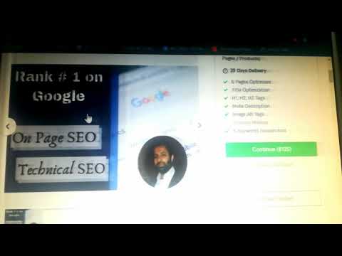Fiverr Gigs | Gigs On Fiverr | Gigs Review