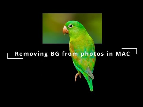 How to remove a photo background in MAC