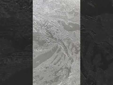5 ноября 2024 г.