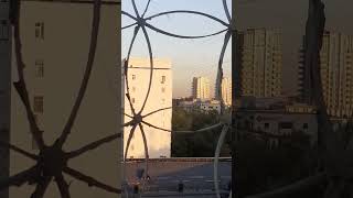Spring 2025 #shorts #shortvideo #spring #2025 #springdiaries #asmr #asmrsounds #nature #spring2025