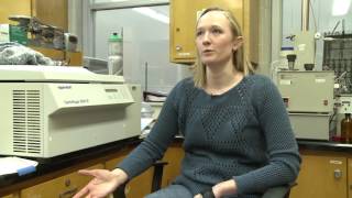 Corn Gluten Meal Research