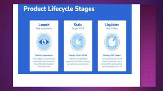 Product Life Cycle Stages