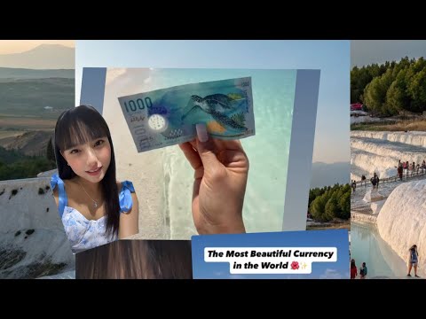 Most beautiful currency 💴 