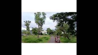 O Akash Sona Sona – Hemanta Mukhopadhyay’s Timeless Melody