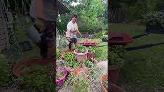 My one day off #feedstore #familybusiness #shoplocal #gardening101 #firsttimegardener #louisiana