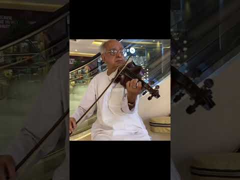 The Melody of Life #violin #lifeisbutadream #classicalmusic #theothersideofmakebelieve #hustle