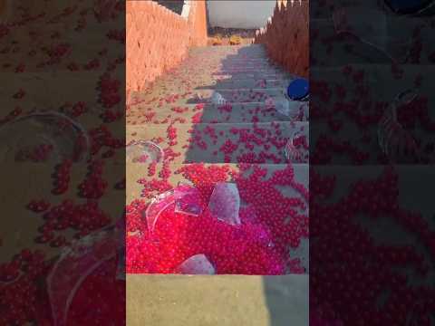 Crushing Crunchy & Soft Things!Breaking Glass Bottles #asmr #satisfying #funny