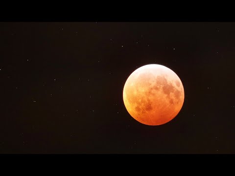 Motion of the 2019 January Lunar Eclipse