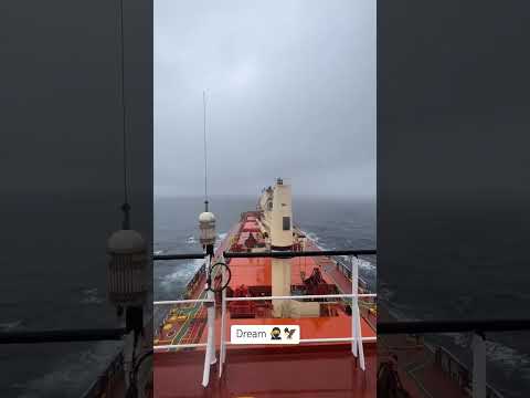MERCHANT NAVY LOVER 🥷🚢🌊#memes #trending #navy #merchantnavy #foji #virakemençe #viralvideo