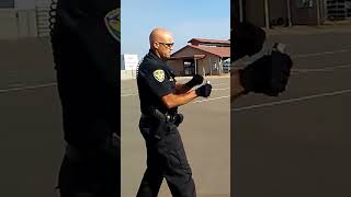 real life flash bang