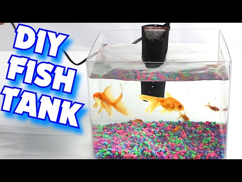 How To Build a DIY Fish Tank | Build Your Own Aquarium