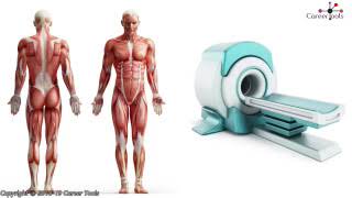 Career Tools